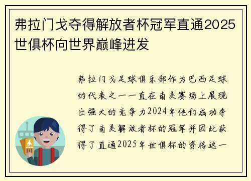 弗拉门戈夺得解放者杯冠军直通2025世俱杯向世界巅峰进发